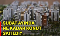 Şubat ayında ne kadar konut satıldı?