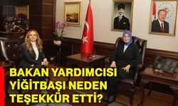 Bakan Yardımcısı Yiğitbaşı neden teşekkür etti?