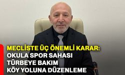 Mecliste üç önemli karar: Okula spor sahası, türbeye bakım, köy yoluna düzenleme