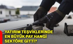 Yatırım teşviklerinde en büyük pay hangi sektöre gitti?