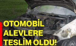 Otomobil alevlere teslim oldu!