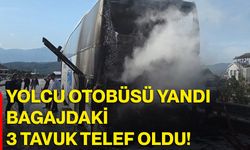 Yolcu Otobüsü Yandı, Bagajdaki 3 Tavuk Telef Oldu!