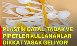 Plastik Çatal, Tabak Ve Pipetler Kullananlar Dikkat Yasak Geliyor!