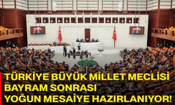 Türkiye Büyük Millet Meclisi Bayram Sonrası Yoğun Mesaiye Hazırlanıyor