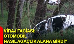 Viraj Faciası: Otomobil Nasıl Ağaçlık Alana Girdi?