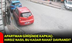Apartman Girişinde Kapkaç: Hırsız Nasıl Bu Kadar Rahat Davrandı?