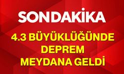 4.3 Büyüklüğünde Deprem Meydana Geldi