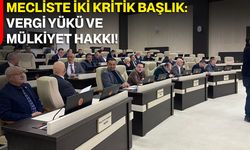 Mecliste İki Kritik Başlık: Vergi Yükü Ve Mülkiyet Hakkı!