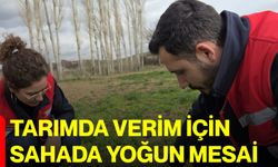 Tarımda Verim İçin Sahada Yoğun Mesai