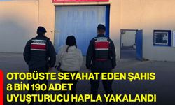 Otobüste seyahat eden şahıs 8 bin 190 adet uyuşturucu hapla yakalandı