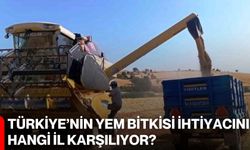 Türkiye’nin Yem Bitkisi İhtiyacını Hangi İl Karşılıyor?