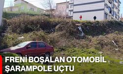 Freni boşalan otomobil şarampole uçtu