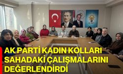 AK Parti Kadın Kolları Sahadaki Çalışmalarını Değerlendirdi
