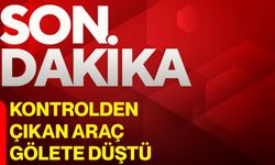 Kontrolden Çıkan Araç Gölete Düştü
