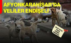Afyonkarahisar’da veliler endişeli