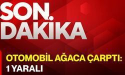 Otomobil ağaca çarptı: 1 yaralı