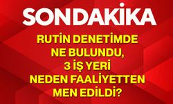 Rutin Denetimde Ne Bulundu,3 İş Yeri Neden Faaliyetten Men Edildi?