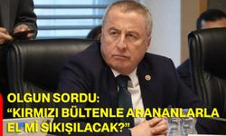 Milletvekili Olgun Sordu: “Kırmızı Bültenle Arananlarla El Mi Sıkışılacak?”
