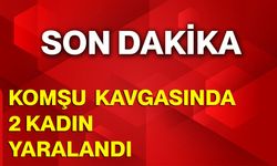 Komşu kavgasında 2 kadın yaralandı