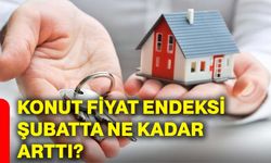 Konut Fiyat Endeksi şubatta ne kadar arttı?