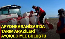 Afyonkarahisar’da tarım arazileri ayçiçeğiyle buluştu