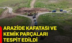 Arazide kafatası ve kemik parçaları tespit edildi