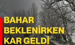 Bahar beklenirken kar geldi
