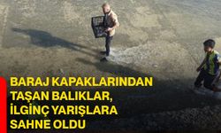 Baraj Kapaklarından Taşan Balıklar, İlginç Yarışlara Sahne Oldu