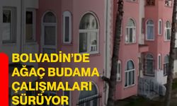 Bolvadin’de ağaç budama çalışmaları sürüyor