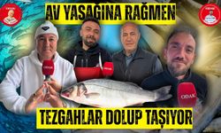 Av Yasağına Rağmen Tezgahlar Dolup Taşıyor