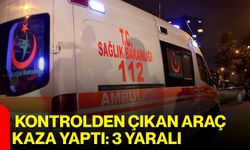 Kontrolden Çıkan Araç Kaza Yaptı: 3 Yaralı