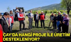 Çay’da hangi proje ile üretim destekleniyor?