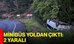 Minibüs Yoldan Çıktı: 2 Yaralı