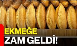 Ekmeğe Zam Geldi!