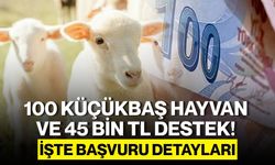 100 Küçükbaş Hayvan ve 45 Bin TL Destek! İşte Başvuru Detayları