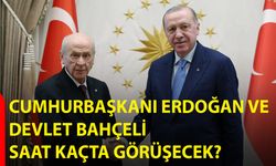 Cumhurbaşkanı Erdoğan, Ve Devlet Bahçeli Saat Kaçta Görüşecek?