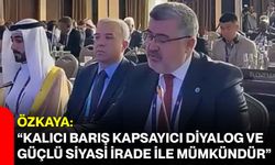 Özkaya: “Kalıcı Barış Kapsayıcı Diyalog ve Güçlü Siyasi İrade ile Mümkündür”