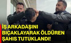 İş Arkadaşını Bıçaklayarak Öldüren Şahıs Tutuklandı