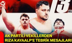 AK Partili Vekillerden Rıza Kayaalp’e Tebrik Mesajları