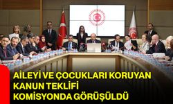 Aileyi ve Çocukları Koruyan Kanun Teklifi Komisyonda Görüşüldü