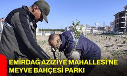 Emirdağ Aziziye Mahallesi’ne Meyve Bahçesi Parkı
