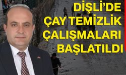 Dişli’de Çay Temizlik Çalışmaları Başlatıldı