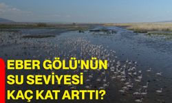 Eber Gölü'nün su seviyesi kaç kat arttı?