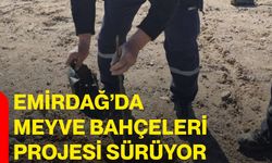 Emirdağ’da Meyve Bahçeleri Projesi Sürüyor