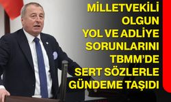 Milletvekili Olgun, Yol ve Adliye Sorunlarını TBMM’de Sert Sözlerle Gündeme Taşıdı
