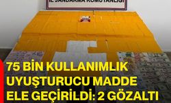 75 Bin Kullanımlık Uyuşturucu Madde Ele Geçirildi: 2 Gözaltı
