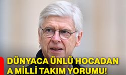 Dünyaca ünlü hocadan A Milli Takım yorumu!