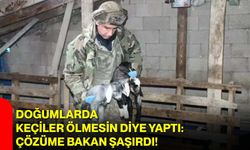 Doğumlarda keçiler ölmesin diye yaptı: Çözüme bakan şaşırdı!