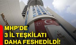 MHP’de 3 il teşkilatı daha feshedildi!