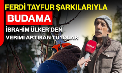 FERDİ TAYFUR ŞARKILARIYLA BUDAMA İBRAHİM ÜLKER’DEN VERİMİ ARTIRAN TÜYOLAR